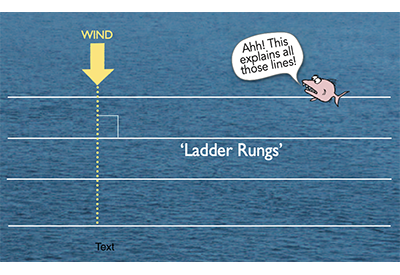 Speed & Smarts: Ladder Rungs Part 1